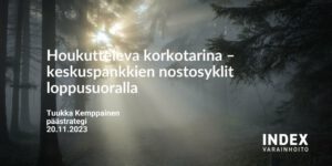 houkutteleva-korkotarina-2