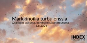 markkinaturbulenssi-24